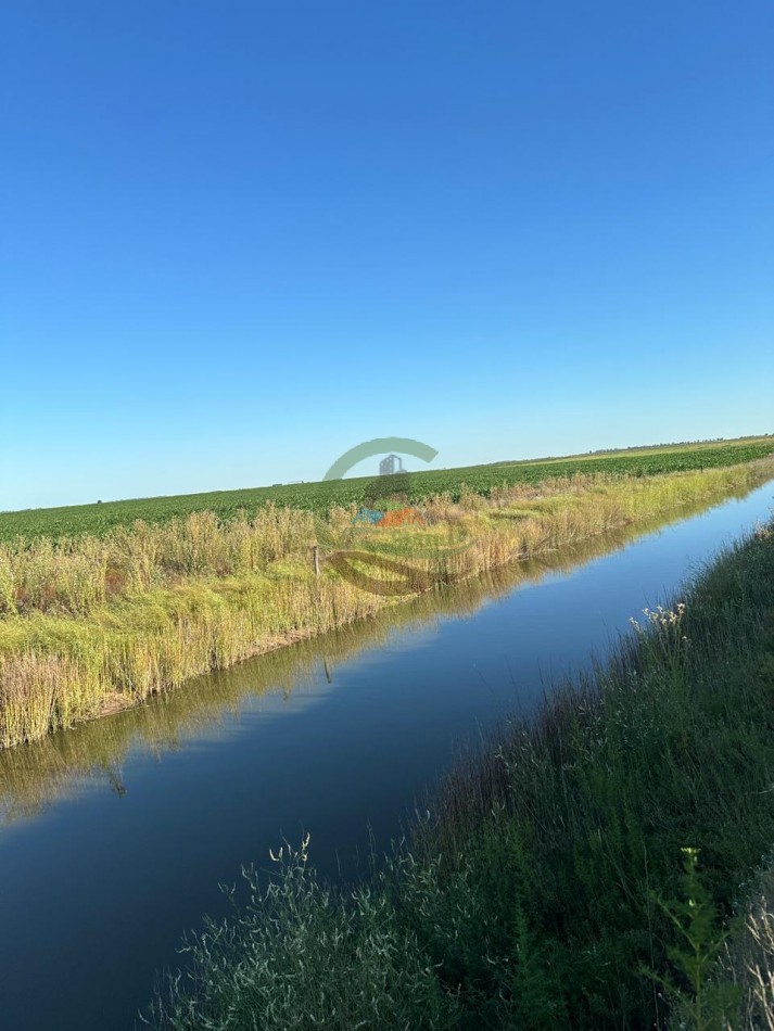 262 Ha Agricolas - Gonzalez Moreno - Rivadavia