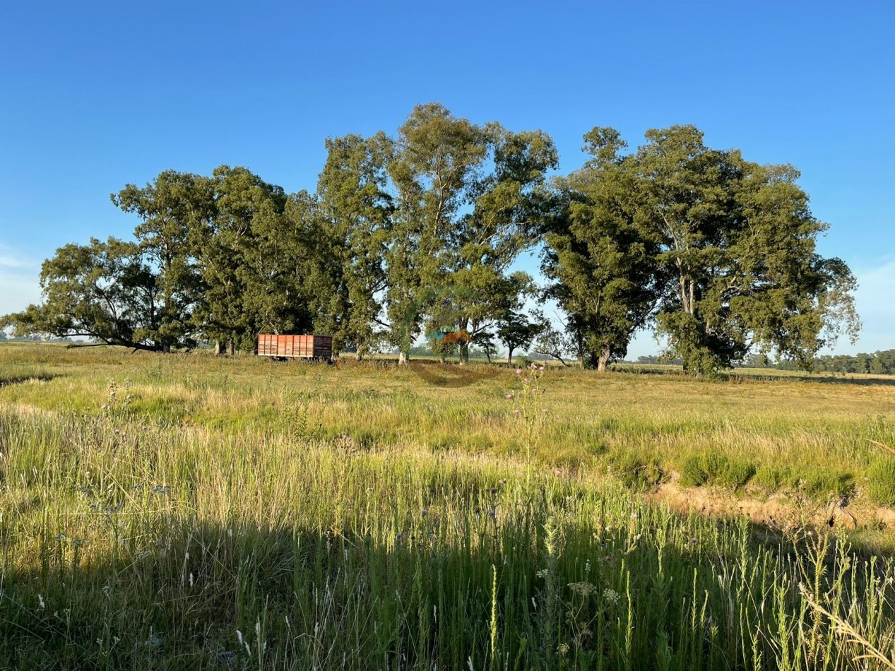 18 ha Mixtos - Pedernales