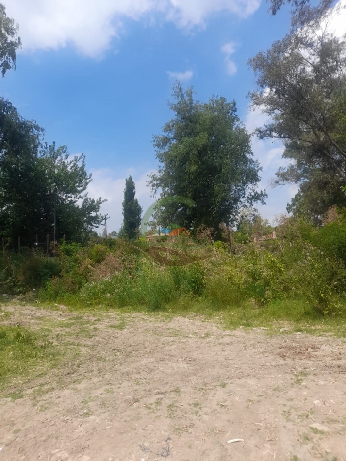4 ha Desarrollo - Tigre