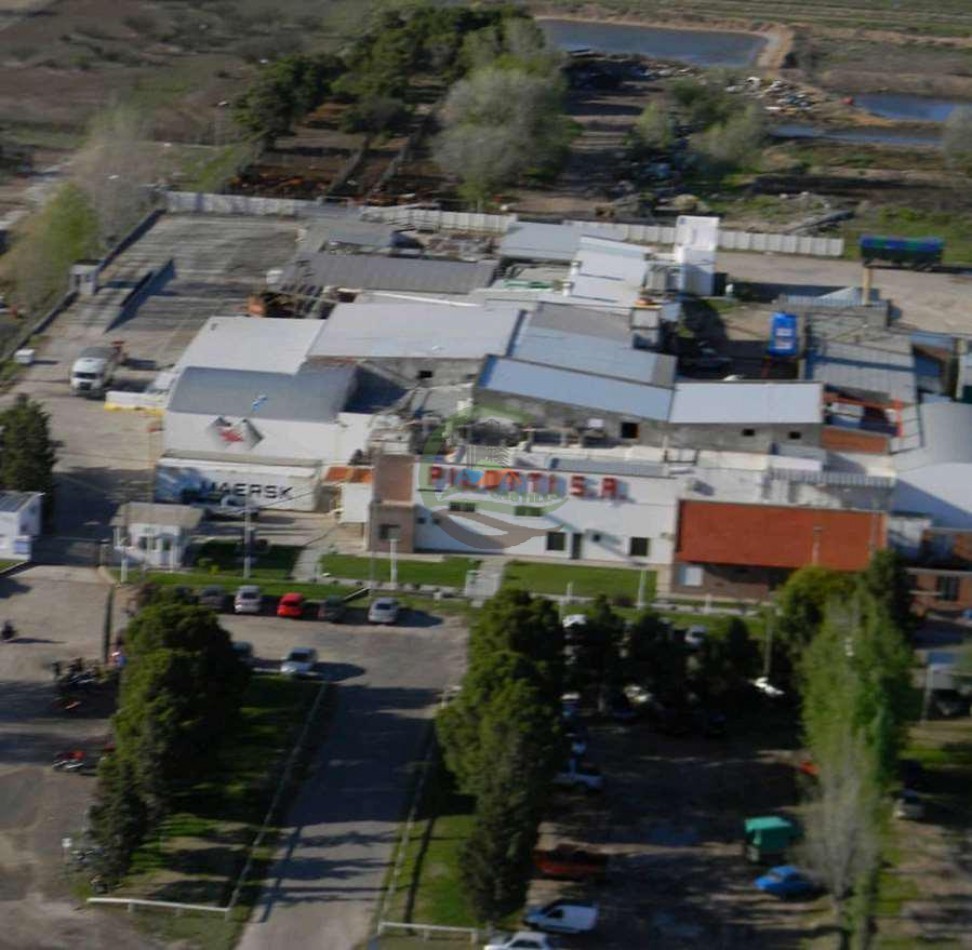 Frigorifico - con feedlot- Exportadora - La Adela - La Pampa