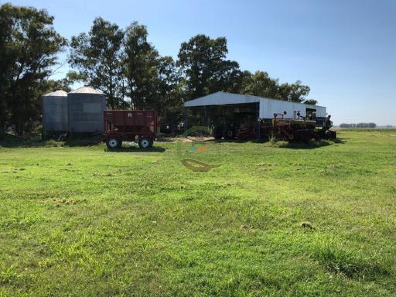 1370 Ha Agricolas - Gral Alvear