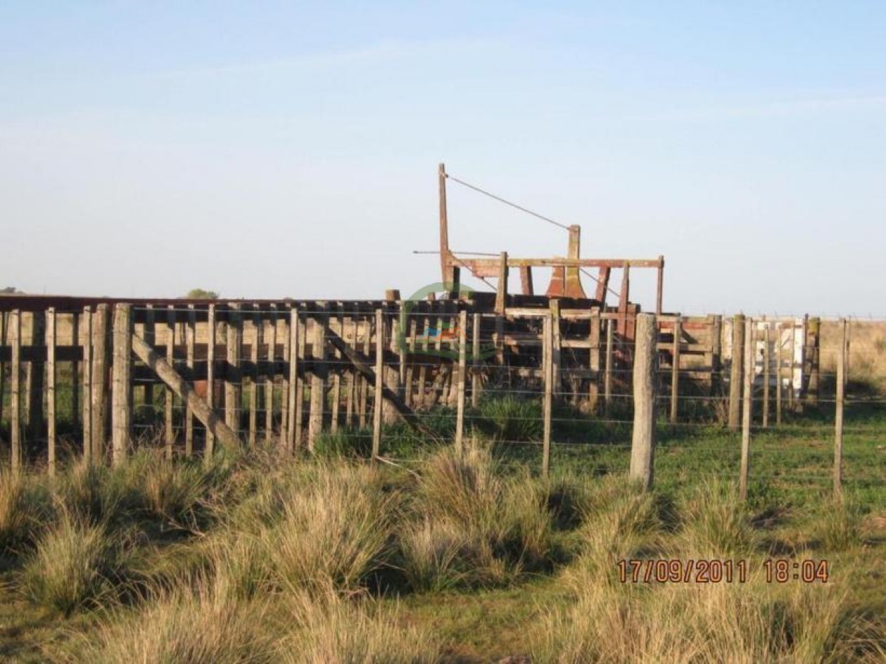 530 Ha Mixto - Coronel Suarez