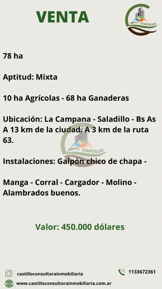 78 ha Mixtas - Saladillo