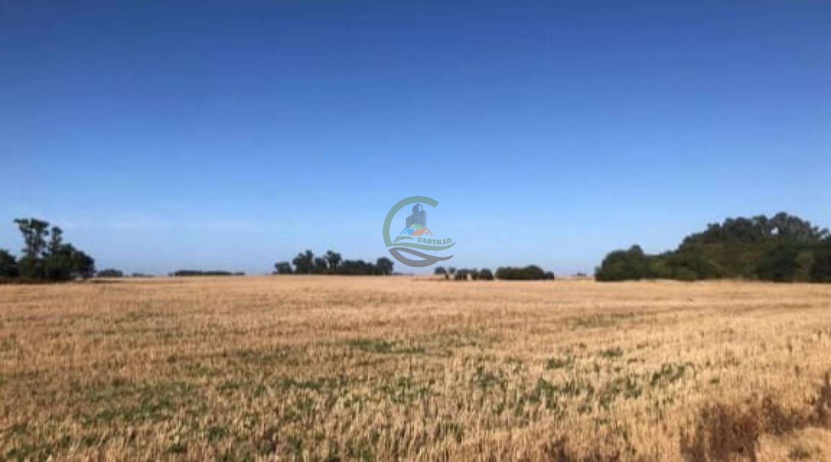40,3 ha Mixtas - Saladillo