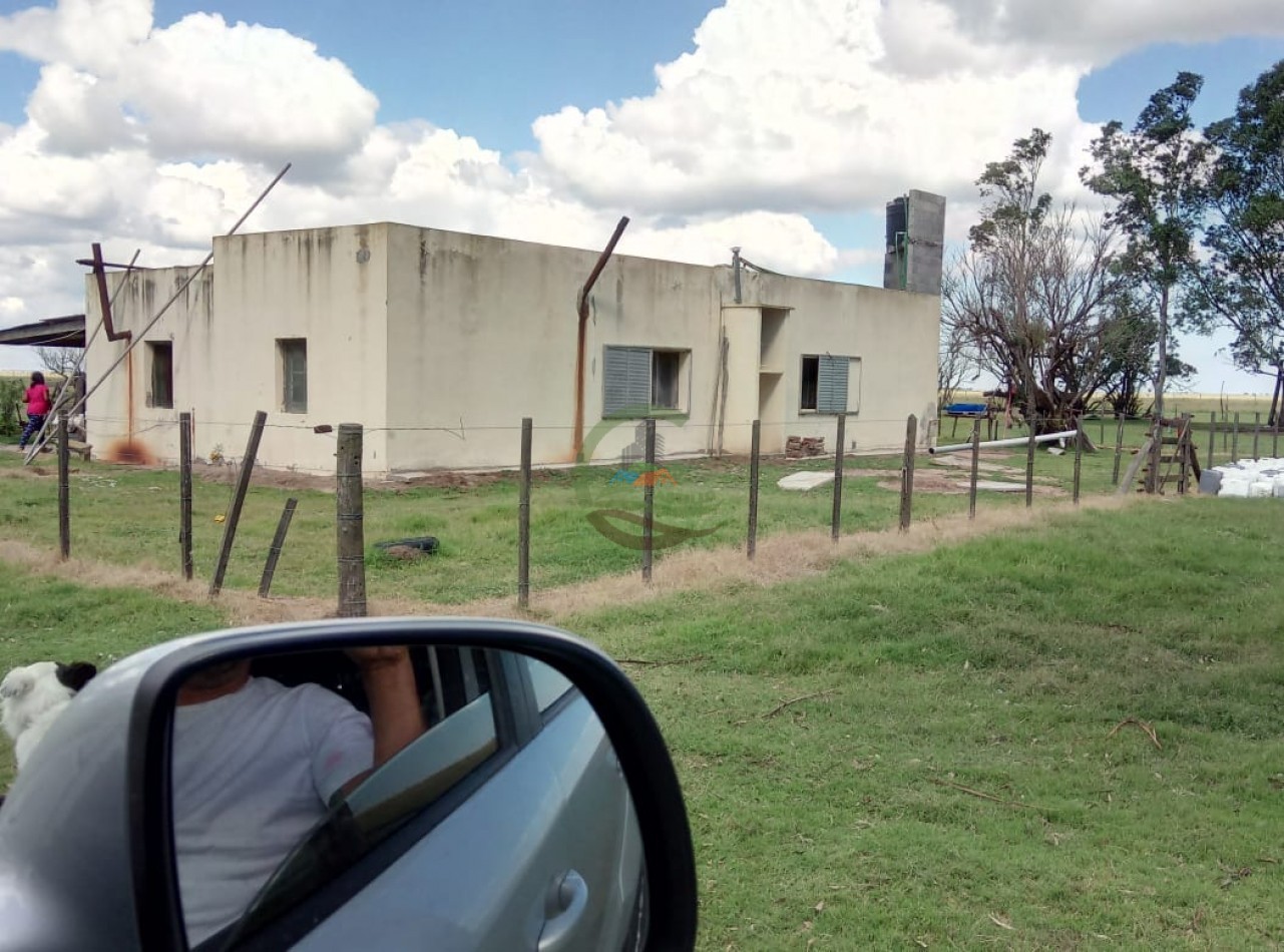 1320 ha Mixtas - Laboulaye