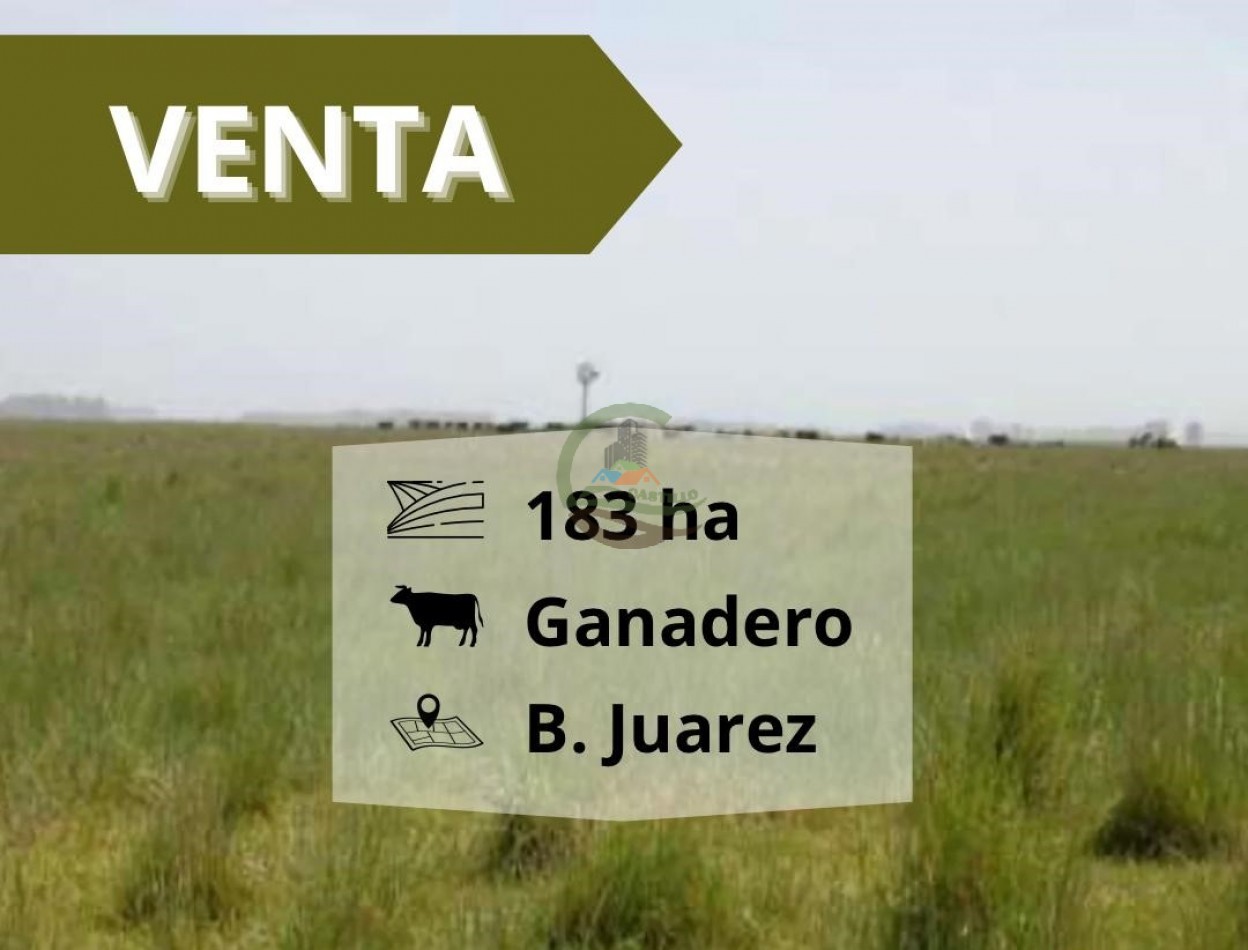 183 ha Ganadero - Benito Juarez