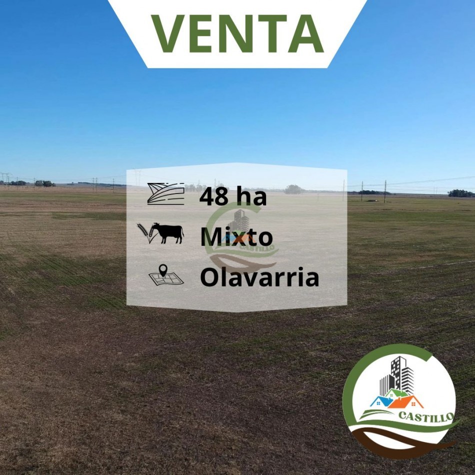 48 ha mixto - Olavarria