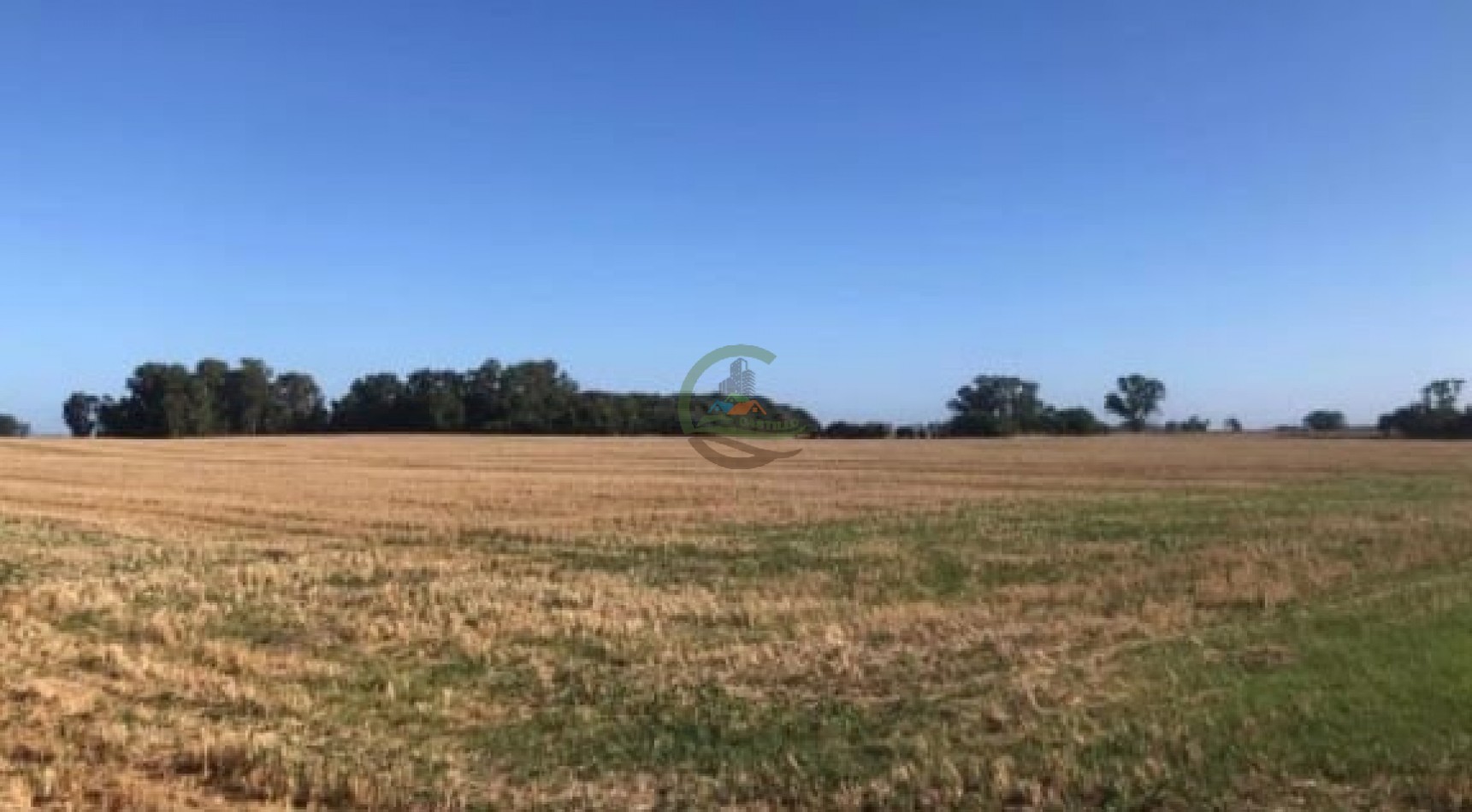 40,3 ha Mixtas - Saladillo