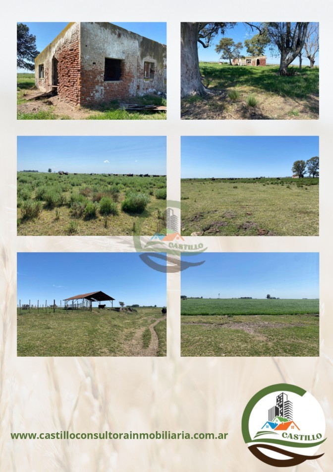 331 ha mixto - carlos tejedor