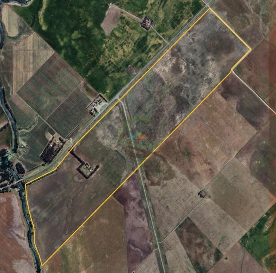 179 Ha Mixto - Tres Arroyos - Micaela Cascallares - Alquiler