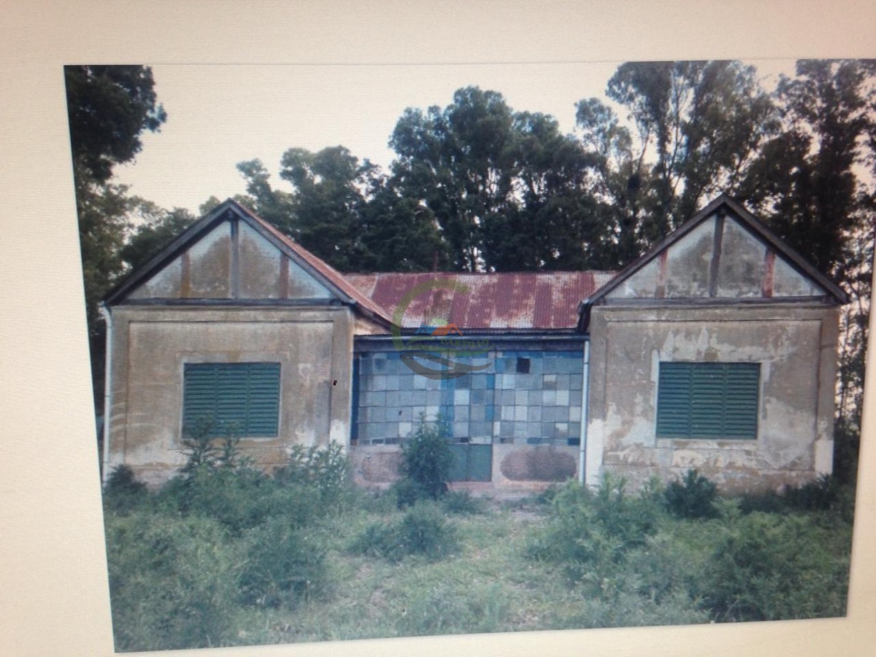 180 ha Ganadero - Las Flores