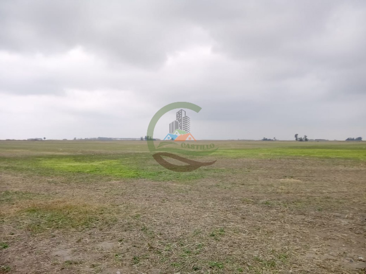 104 ha Agricola - Arequito Sta Fe