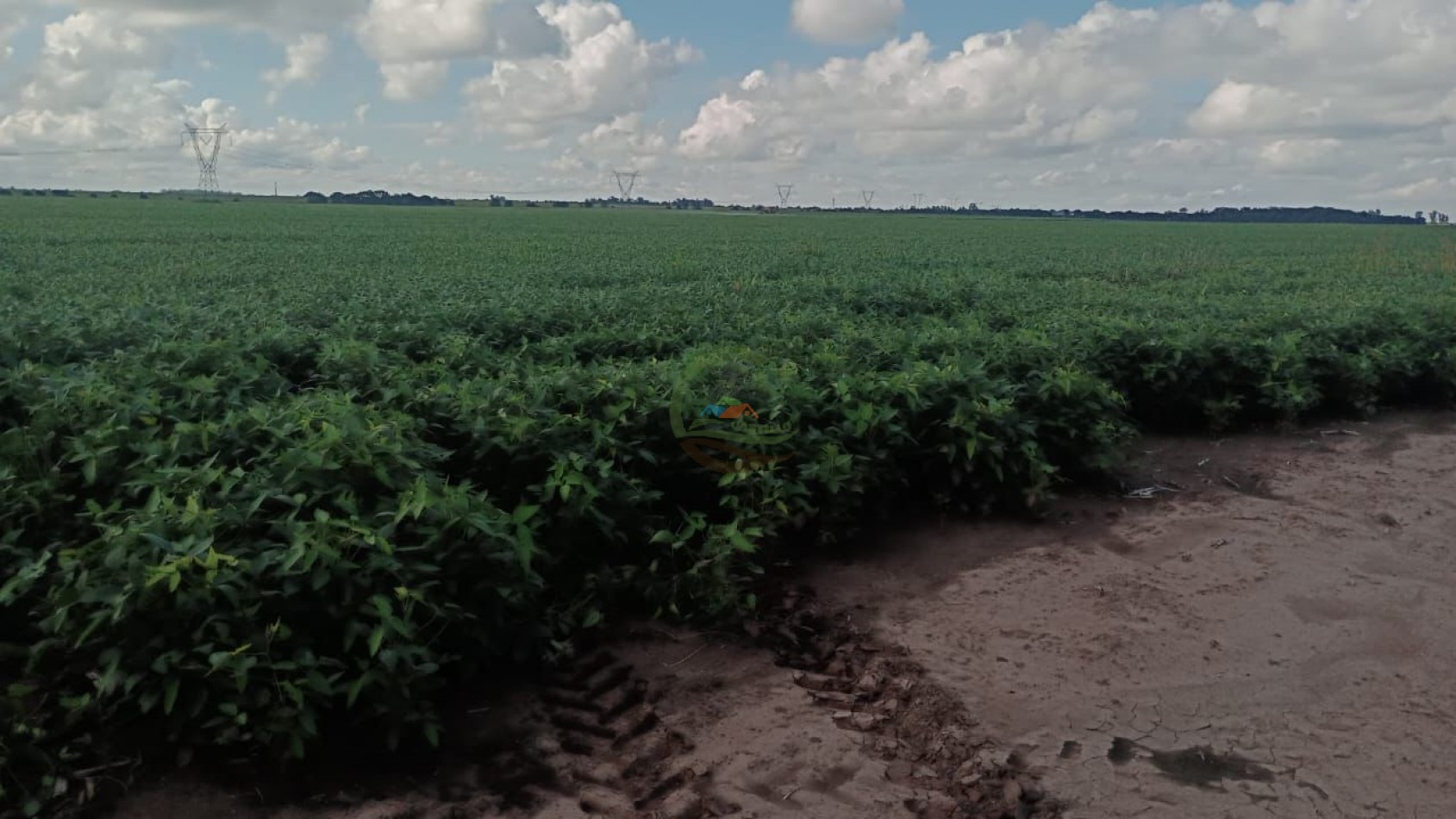 200 ha Agricolas - Cordoba 