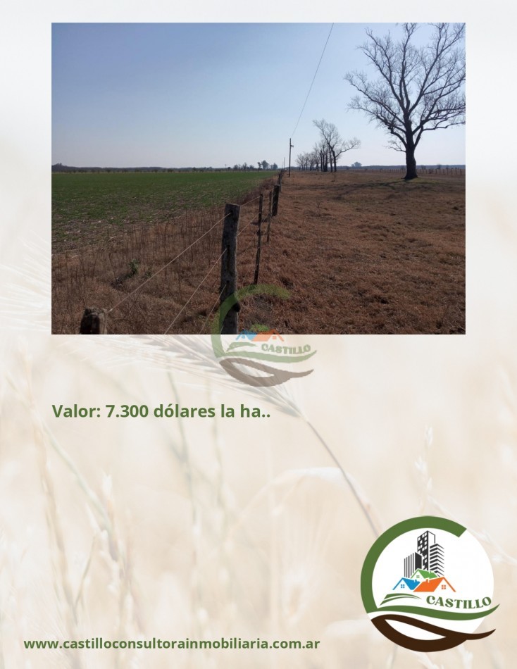 328 ha mixto - entre rios