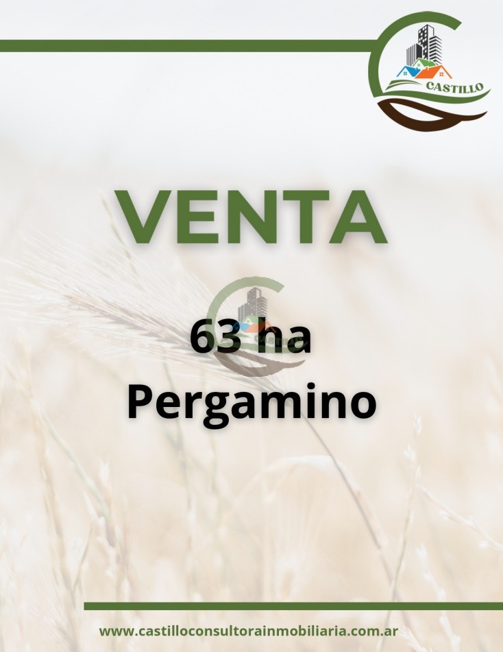 63 ha agricolas - pergamino