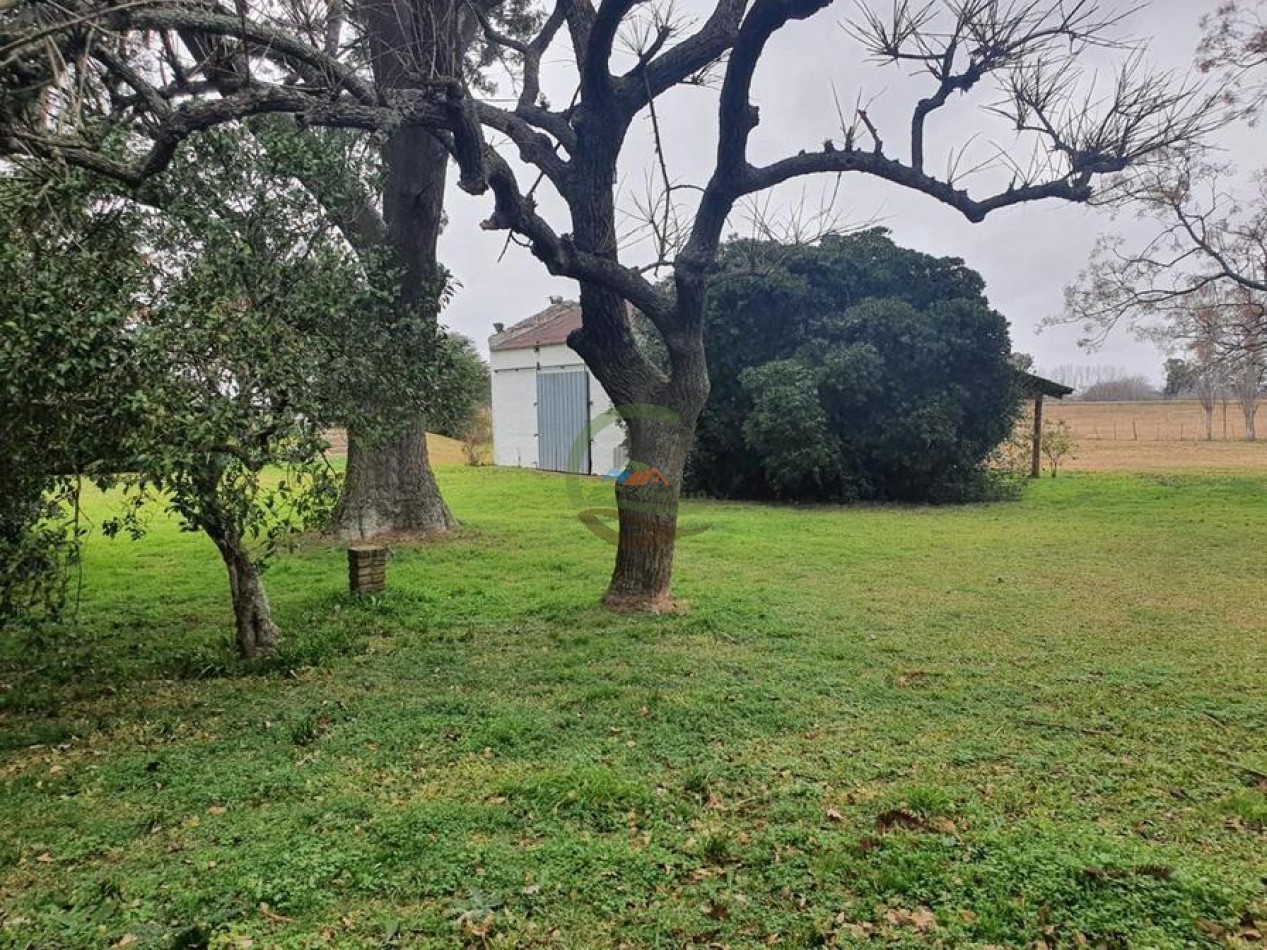 175 Ha Mixtas - Abasto - La Plata