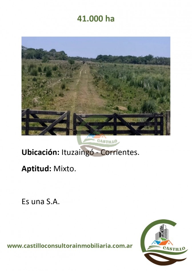 41000 ha mixtas - corrientes