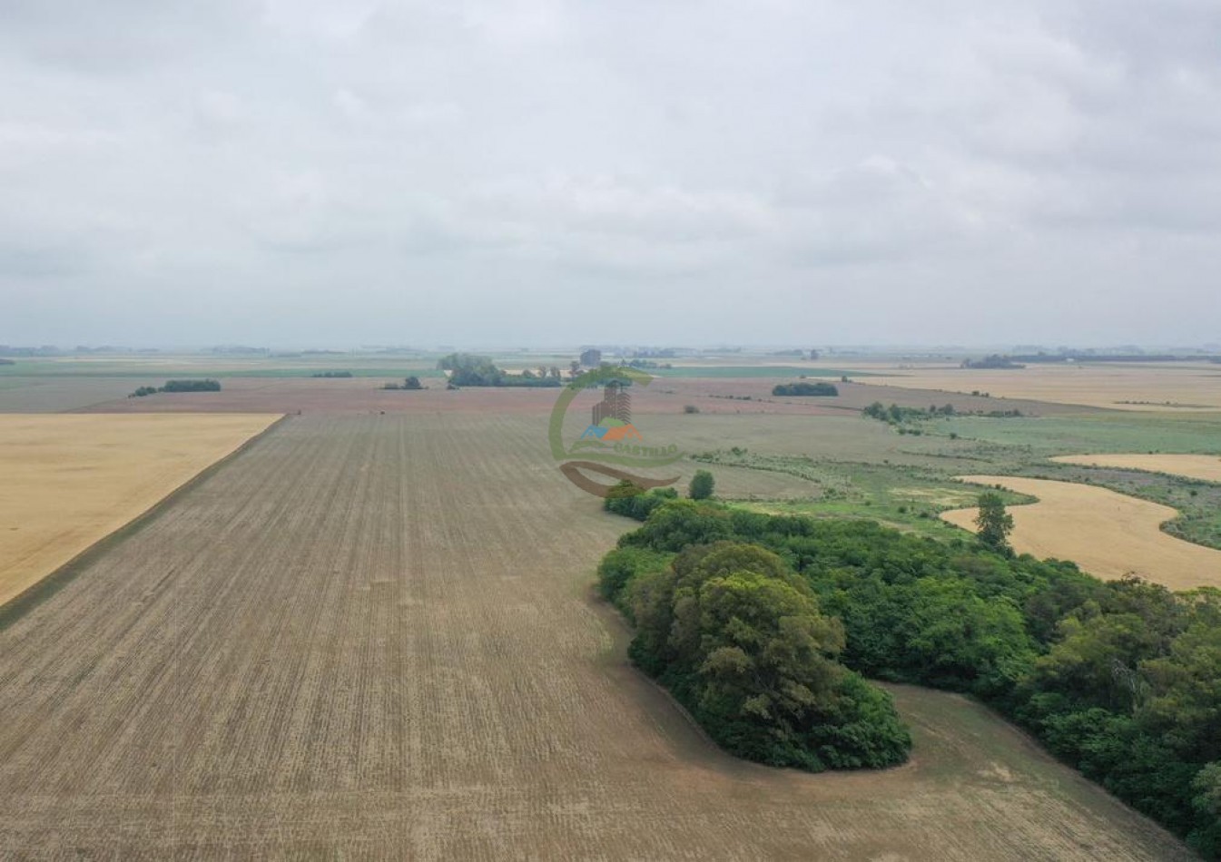 118 Ha Agricolas - Irala - Bragado