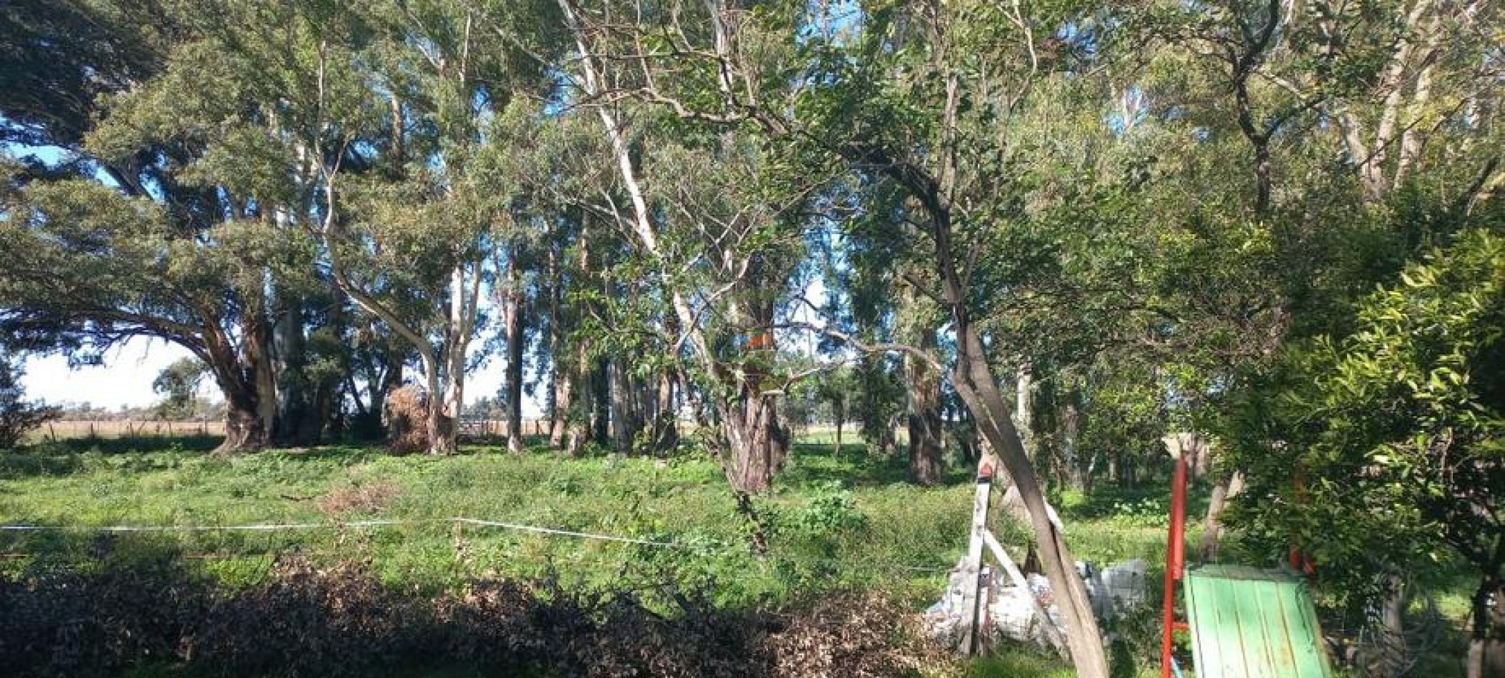 30 Ha Ganadero  - Bolivar