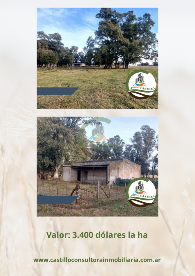34 ha ganadera - Olavarria