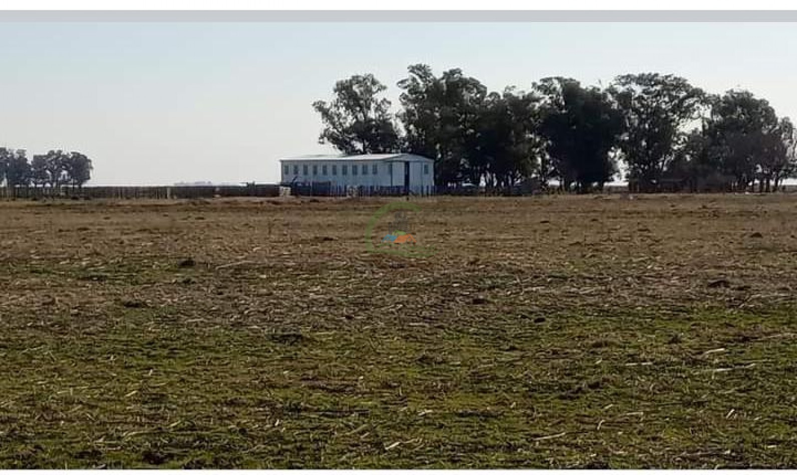 200 ha MIxtas . Tapalque 