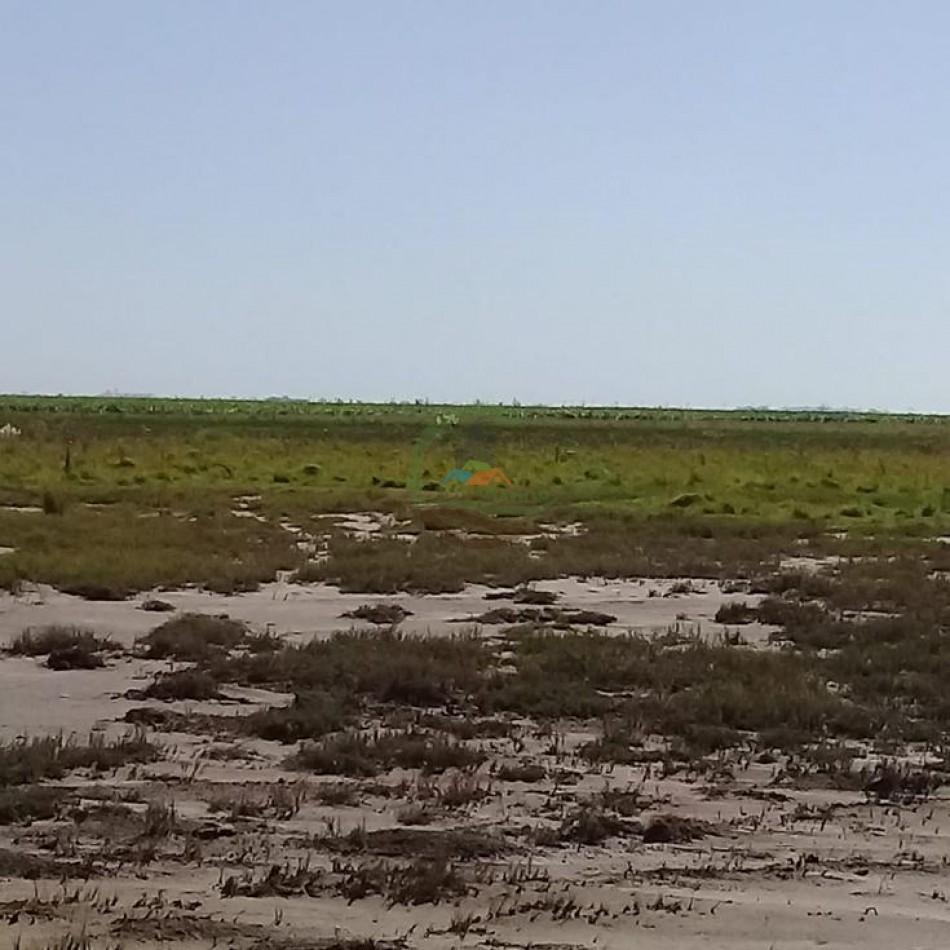 510 Ha Mixtos - Cnel Roseti - Santa Fe 