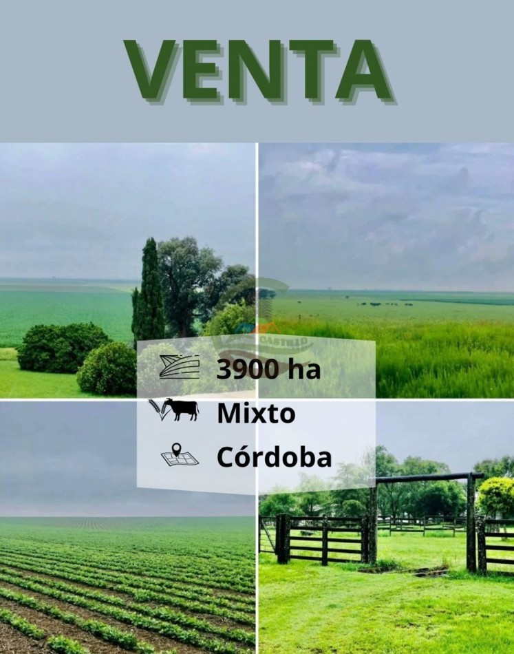 3900 ha Mixtas - La Carlota