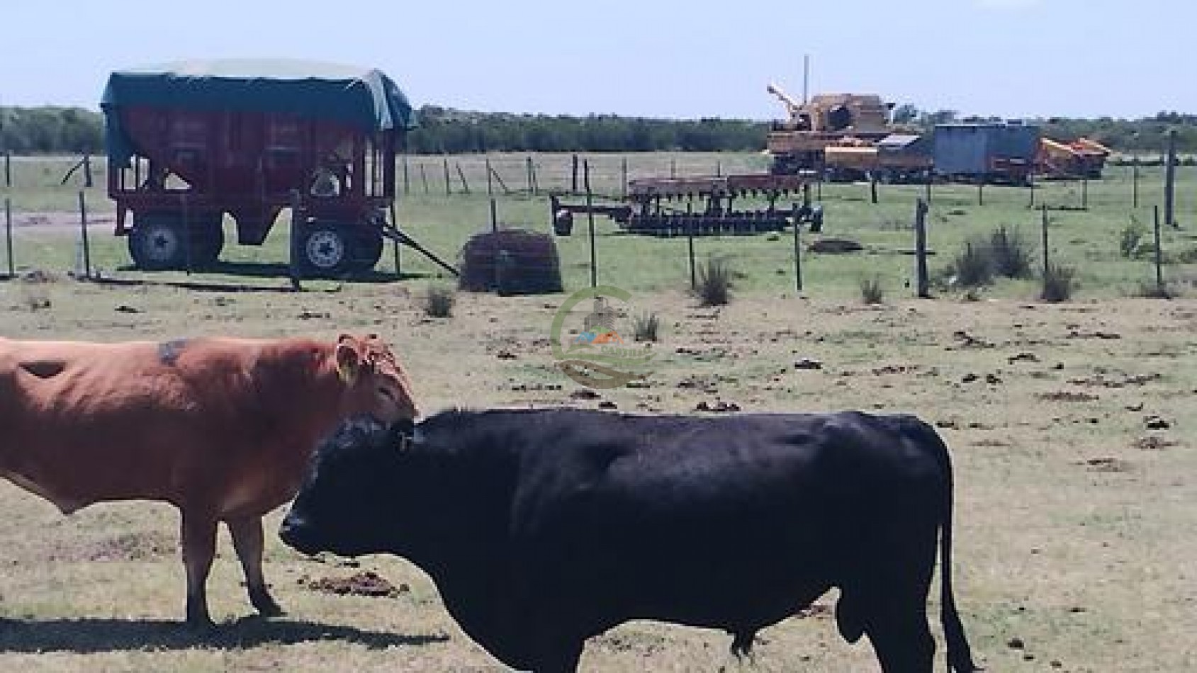 1900 Ha Mixto - Laboulaye - Cordoba