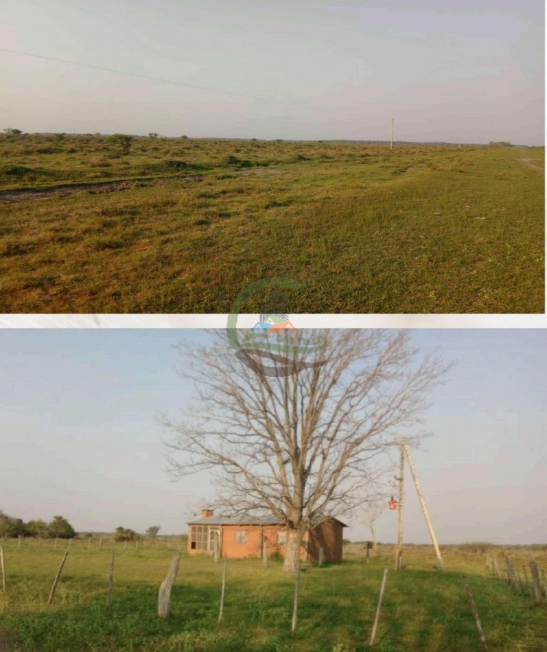 4168 Ha Mixto - San Luis del Palmar - Corrientes