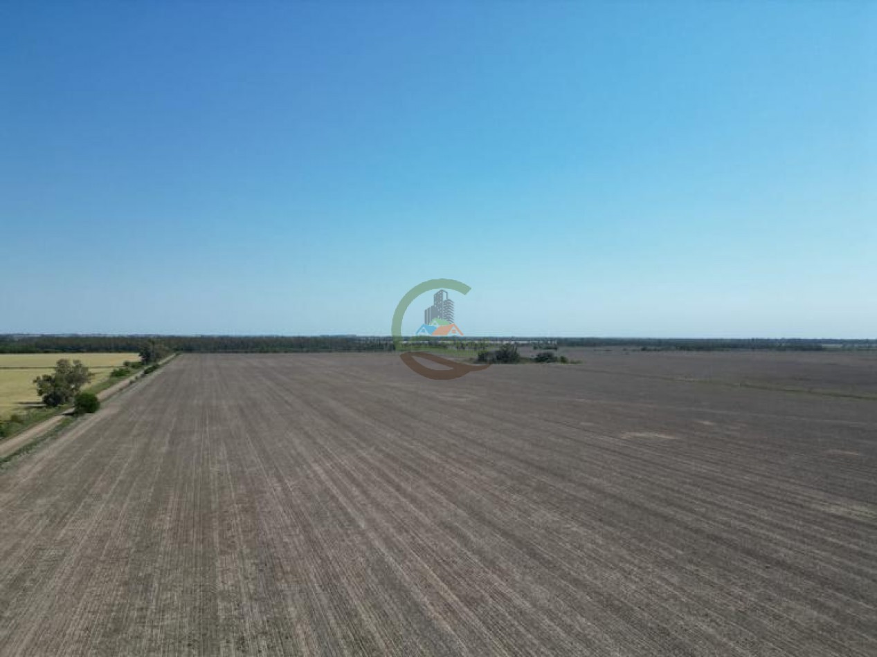 203 ha Agricolas - Santa Fe