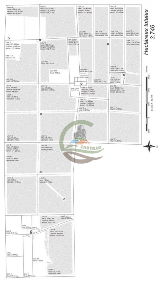 3750 Ha Agricolas - Pichi huinca - La Pampa