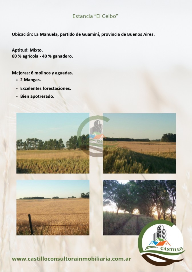 400 ha mixtas - guamini