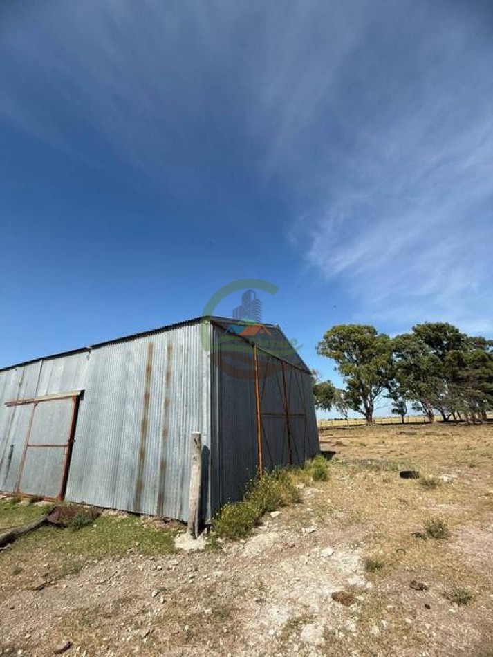 200 Ha Ganadero - Villa Iris - Buenos Aires