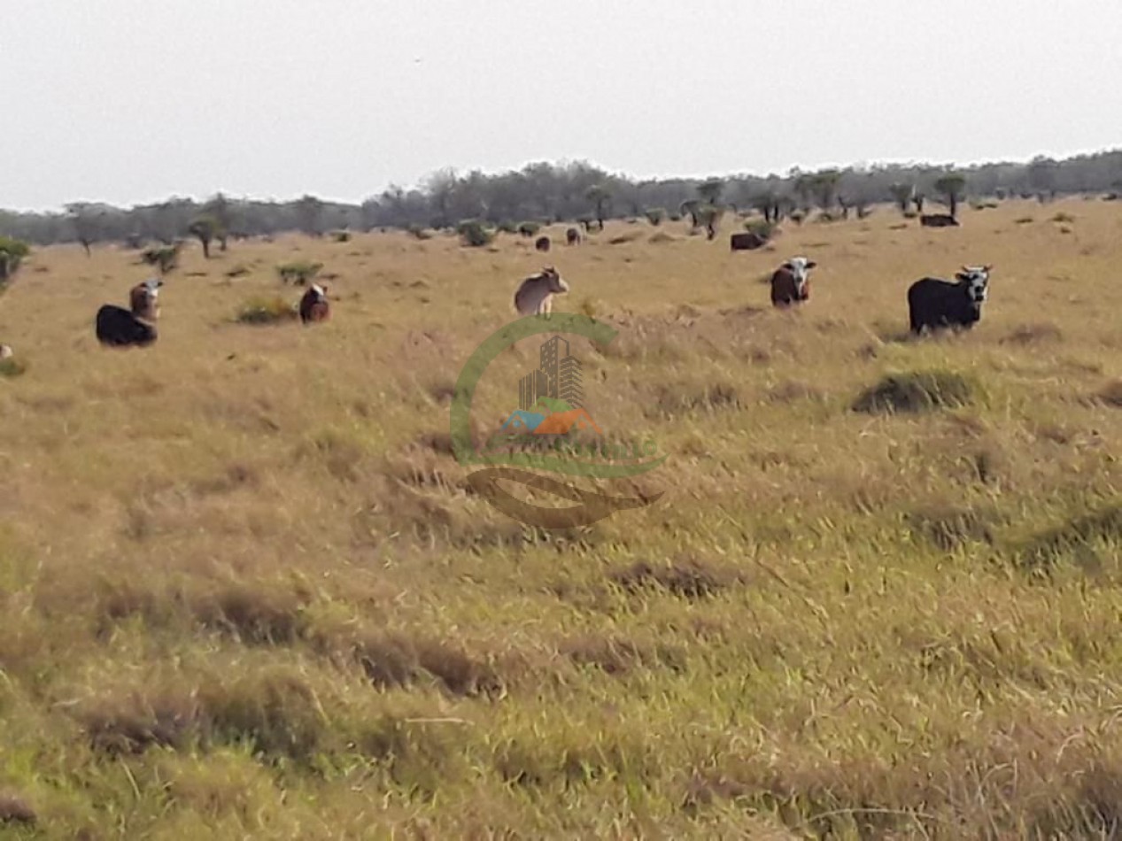 43000 ha MIxtos - Formosa