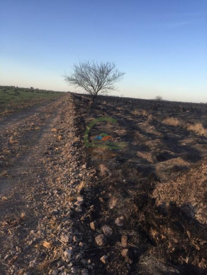 632 Ha Mixtas - Galvez - Santa Fe