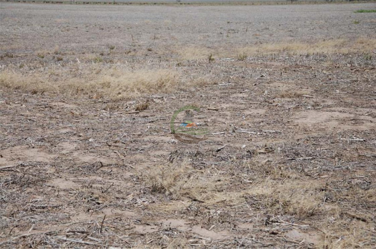 915 Ha Agricolas - Lopez - San Jeronimo - Santa Fe
