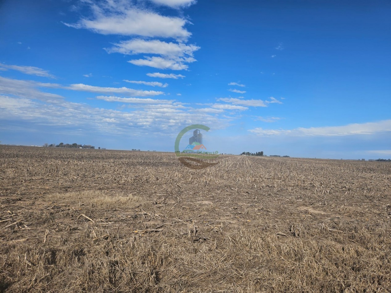 797 ha Agricolas - Bolivar