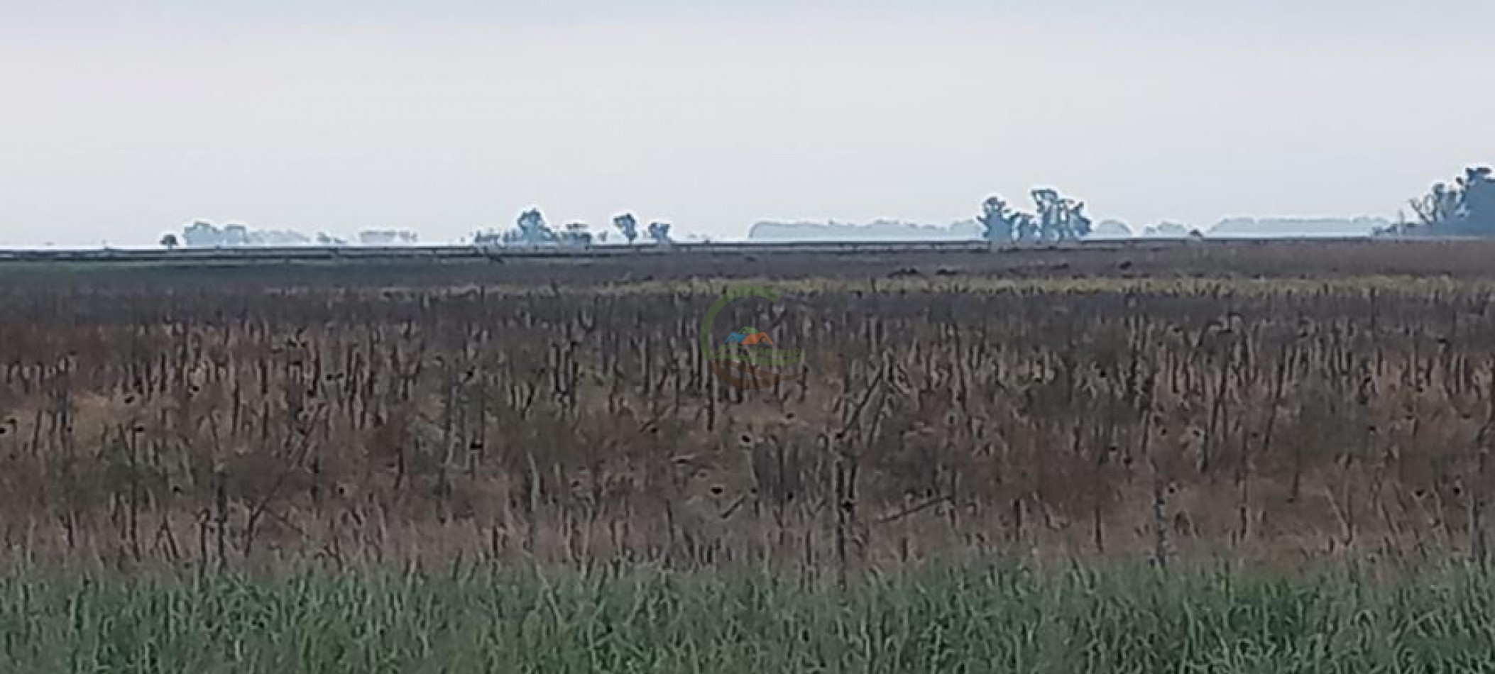 180 Ha Agricolas - Hale - Bolivar