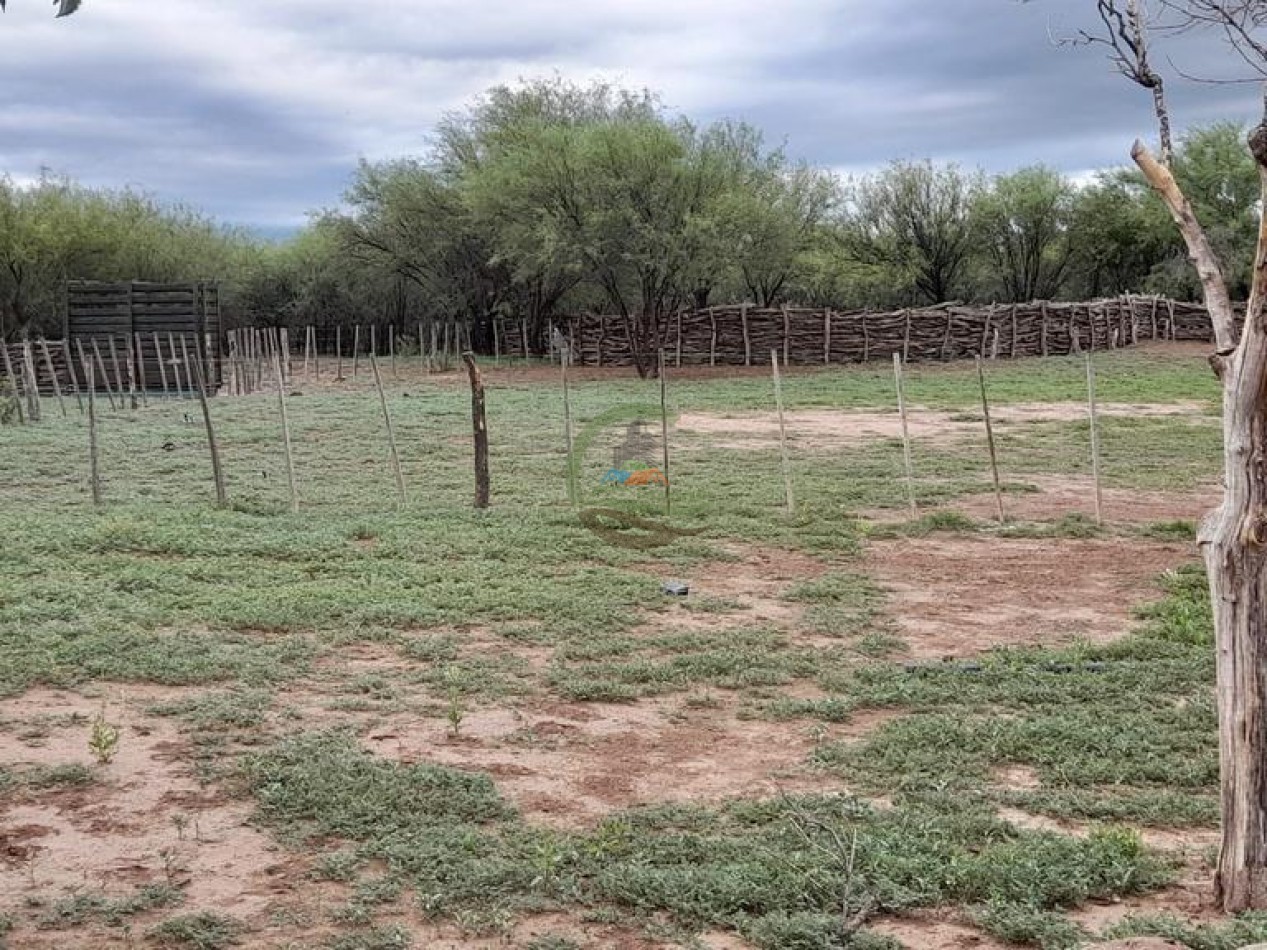 927 Ha Mixto - El Hormiguero - San Luis