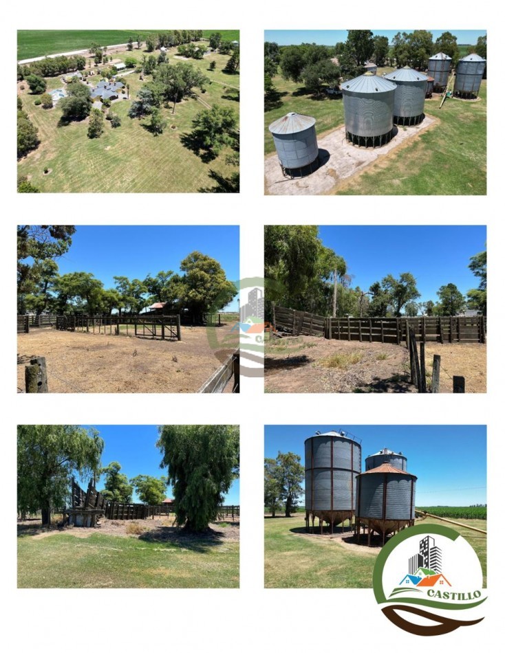 675 ha Mixtas - Carlos Casares