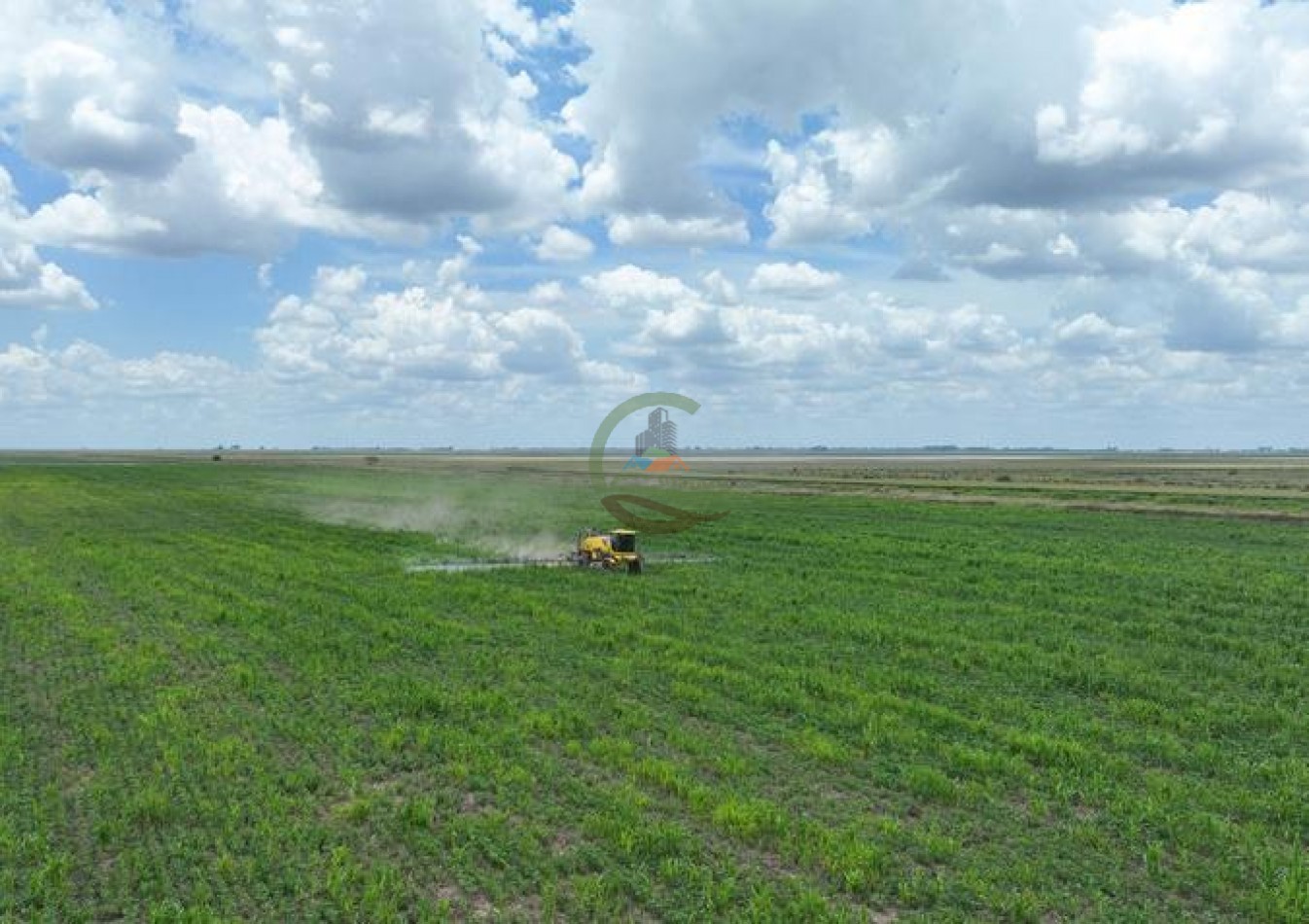1009 ha Mixto - Rufino - Santa Fe