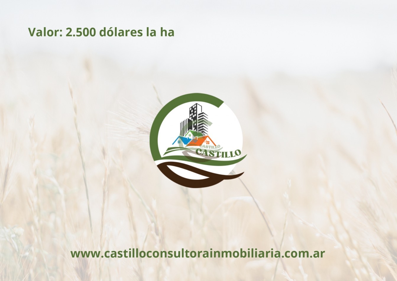 3275 ha ganaderas - general alvear