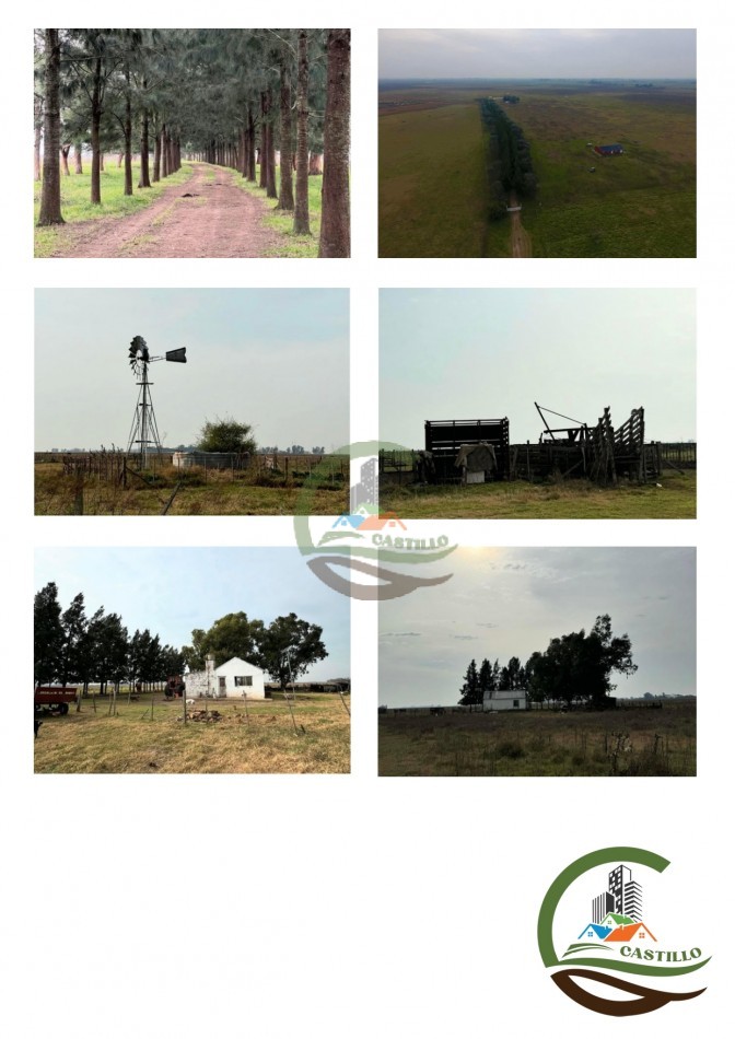 430 ha Ganadera - Cañuelas