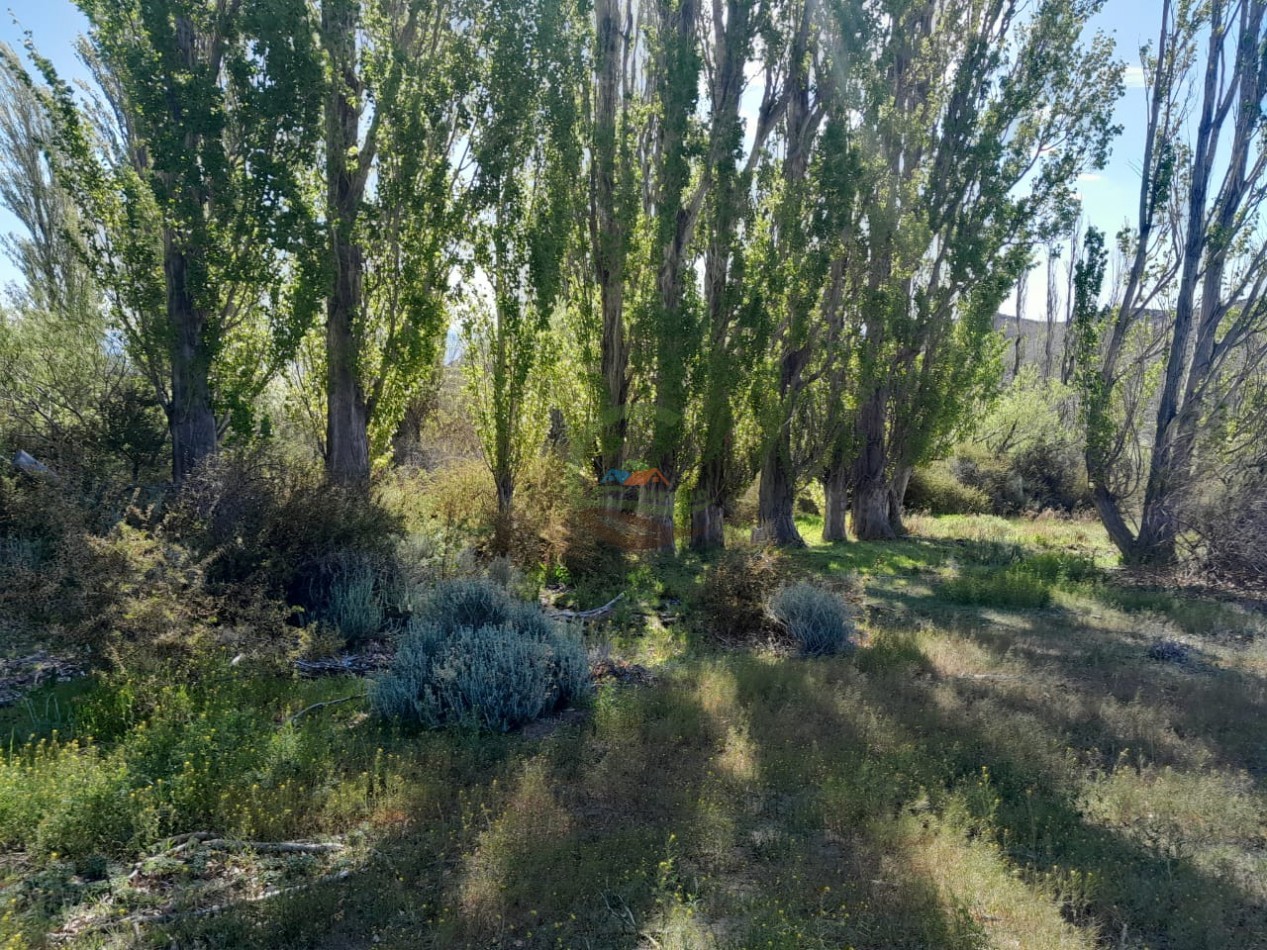 15000 ha Ganaderas - Chubut