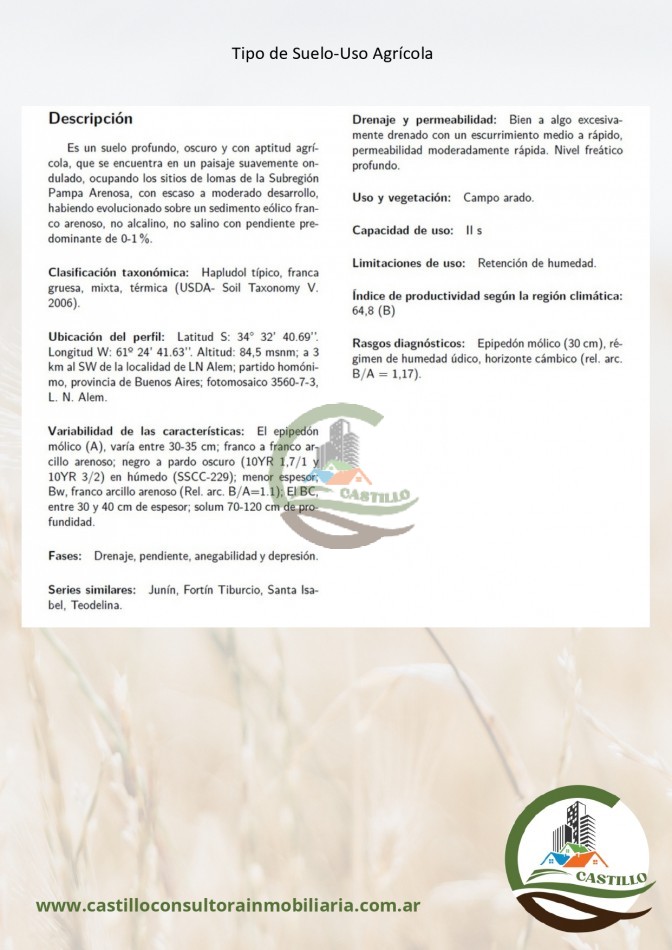 500 ha mixto - lincoln