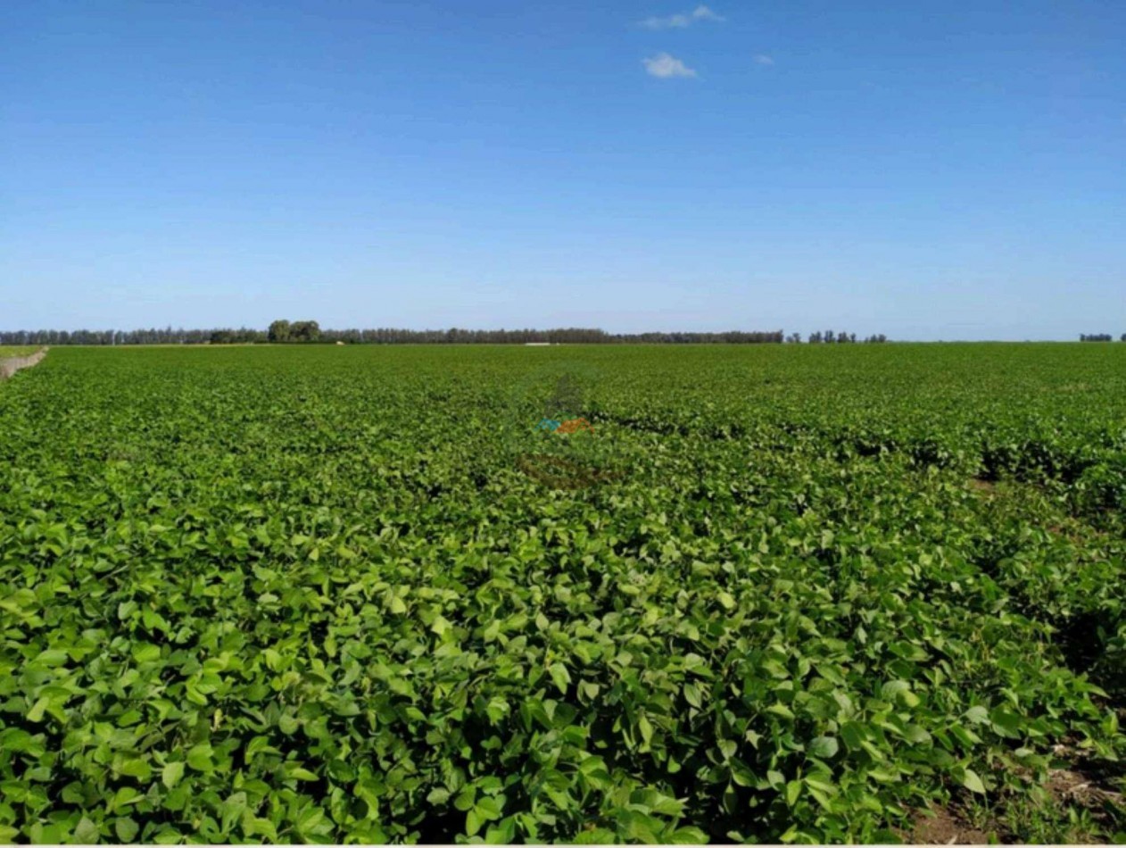 408 Ha Agricola - Miramar