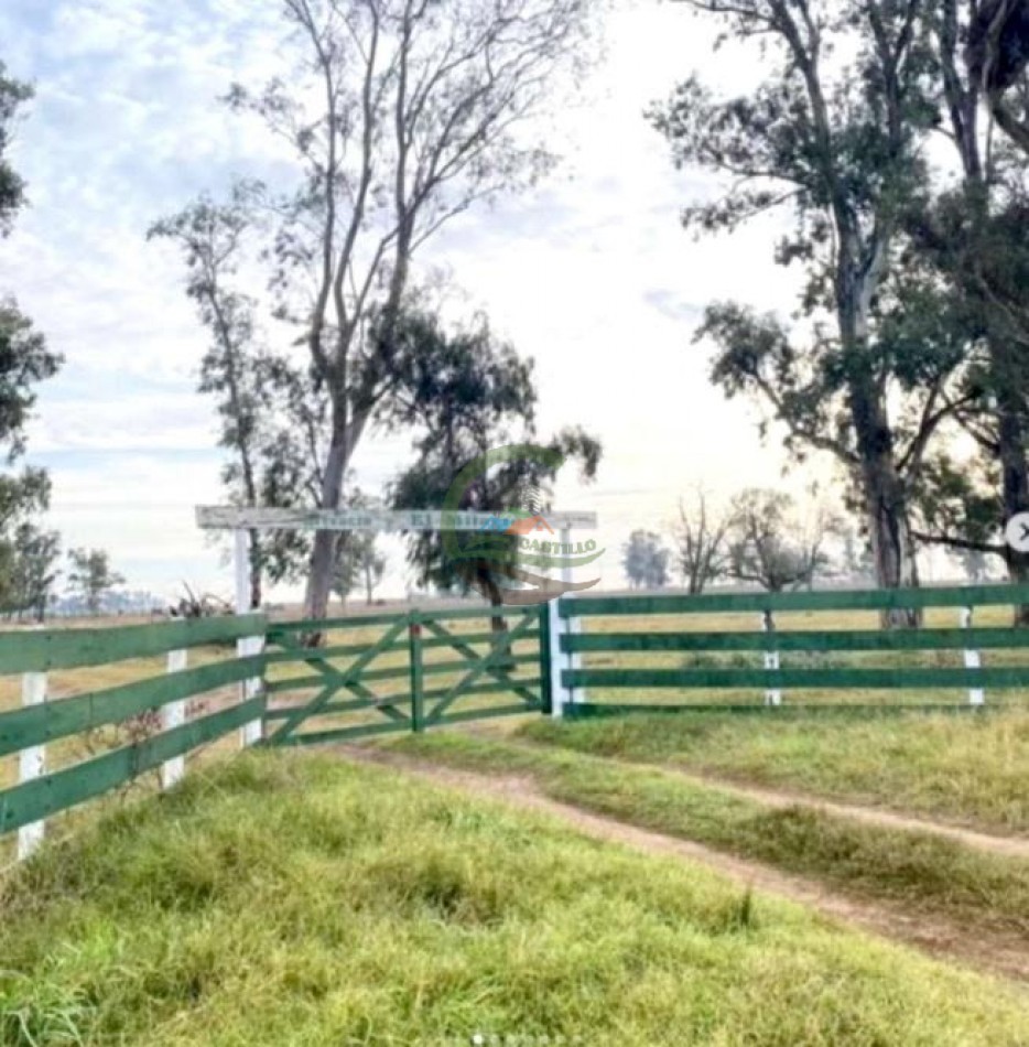 3290 ha Mixtas - Carlos Tejedor