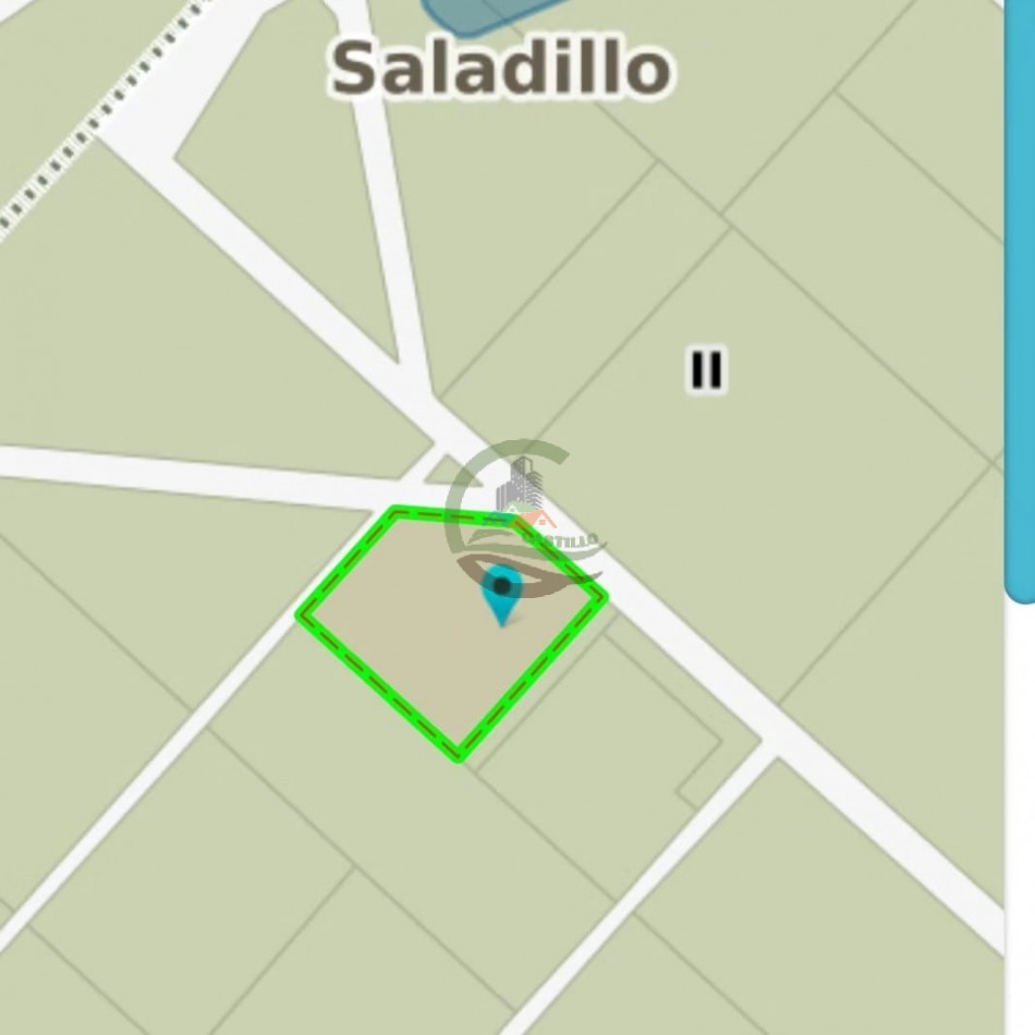 31 ha Agricolas - Saladillo 