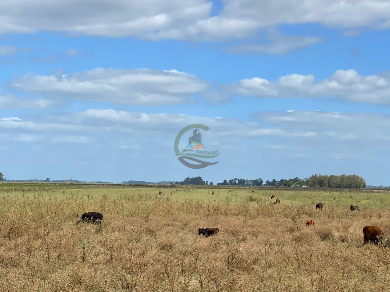78 ha Mixtas - Saladillo