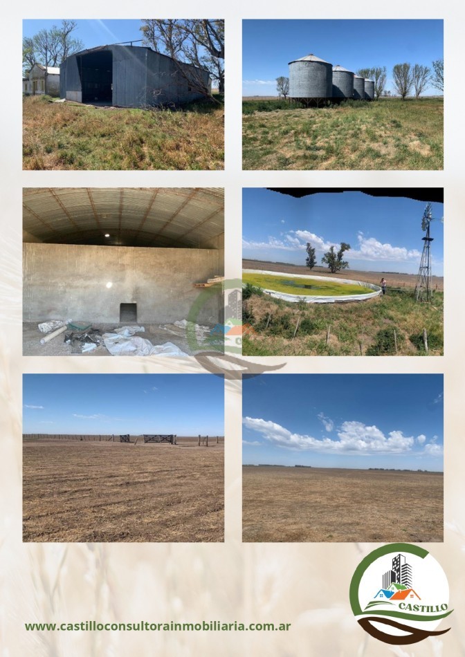 500 ha mixto - lincoln